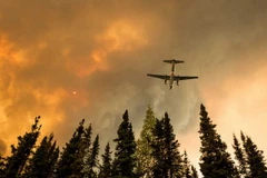 Cháy rừng tại khu bảo tồn hoang dã quốc gia của Mỹ