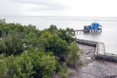 Quy hoạch tổng thể để bảo tồn đa dạng sinh học đến năm 2030