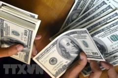 Kiểm đồng USD. (Nguồn: AFP/TTXVN)