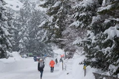 Tuyết rơi dày đặc tại Davos, Thụy Sĩ ngày 22/1. (Nguồn: THX/TTXVN)