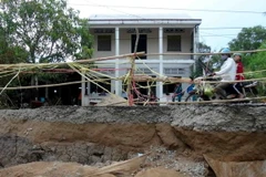 Ảnh minh họa. (Nguồn: TTXVN)