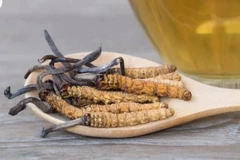 (Nguồn: healthline)