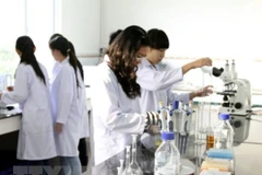 Ảnh minh họa. (Nguồn: TTXVN)