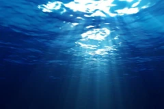 Ảnh minh họa. (Nguồn: forwallpaper.com)