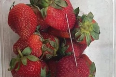 Hình ảnh do cảnh sát bang Queesland cung cấp về hiện tượng kim khâu có trong dâu tươi. (Ảnh: Queensland police/ TTXVN)