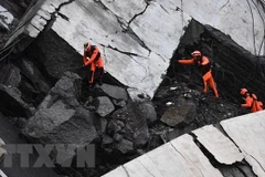 Lực lượng cứu hộ làm nhiệm vụ tại hiện trường vụ sập cầu cạn ở Genoa, Italy ngày 14/8. (Ảnh: EPA/TTXVN) 