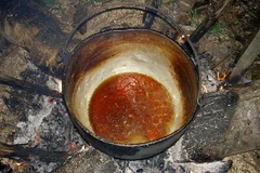 Ayahuasca - một loại thuốc thức thần của các bộ lạc bản địa vùng lưu vực Amazon, Peru. (Nguồn: Terpsichore/Wikimedia Commons)