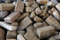 Ảnh minh họa. (Nguồn: AFP/TTXVN)