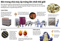 [Infographics] Bên trong nhà máy ấp trứng lớn nhất thế giới