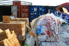 Ảnh minh hoa. (Nguồn: TTXVN)