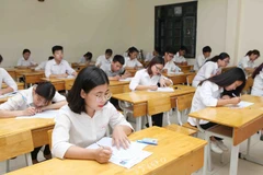 Ảnh minh họa. (Nguồn: TTXVN)