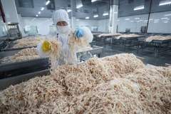Chế biến hải sản xuất khẩu tại nhà máy ở Liên Vân Cảng, tỉnh Giang Tô, Trung Quốc ngày 5/7. (Nguồn: AFP/TTXVN)