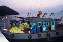 Tàu cá vi phạm bị bắt giữ cùng tang vật. (Ảnh: Trung Nguyên/TTXVN)