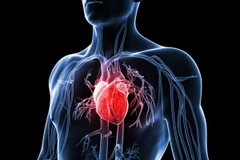 Ảnh minh họa. (Nguồn: womenshealthmag.com)