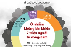 [Infographics] Ô nhiễm không khí khiến 7 triệu người chết mỗi năm