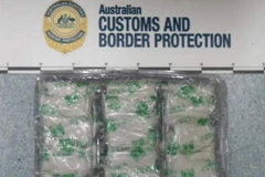 Số ma túy bị phát hiện (Nguồn: Nguồn: SBS)