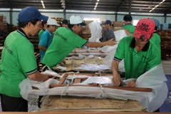 TP Hồ Chí Minh đẩy mạnh khai thác tiềm năng thị trường Nga