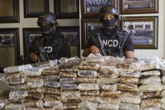 Cảnh sát Tây Ban Nha thu giữ 2,5 tấn cocaine giấu trong dứa