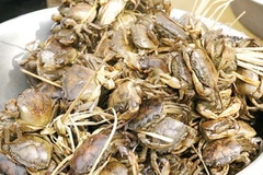 Tin cua Trung Quốc bày bán ở Nam Định là không đúng