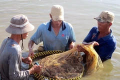 MDEC-Sóc Trăng 2014: Giới thiệu tiềm năng Đồng bằng sông Cửu Long