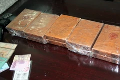 Bộ đội Biên phòng Nam Định bắt đối tượng vận chuyển 6 bánh heroin