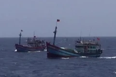 Ảnh minh họa. (Nguồn: TTXVN)