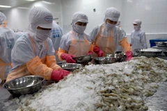 Đàm phán FTA Việt Nam-Hàn Quốc đạt được nhiều tiến bộ