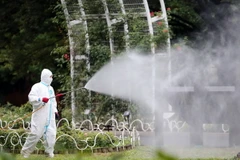 Số ca mắc sốt xuất huyết ở Nhật Bản tiếp tục gia tăng