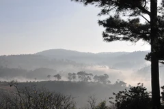 "Mưa Đà Lạt" được biến thành một sản phẩm du lịch