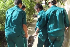 Phát hiện quả pháo 105 ly lẫn trong bùn tại TP Hồ Chí Minh 