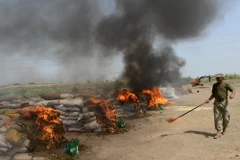 [Photo] Pakistan tiến hành tiêu hủy số lượng lớn ma túy