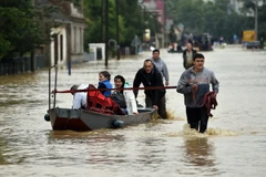 Điện thăm hỏi tình hình lũ lụt ở Serbia, Bosnia-Herzegovina