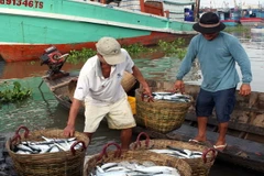 Giao khu vực biển nhất định cho tổ chức, cá nhân khai thác