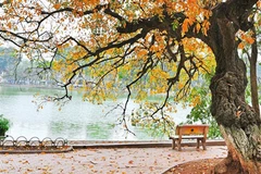 Miền Bắc duy trì ở trạng thái hanh khô, miền Nam mưa dông