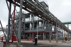 Argentina yêu cầu WTO điều tra việc EU bảo hộ mậu dịch