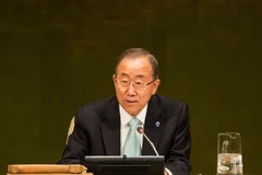 LHQ kêu gọi sớm trồng mới và khôi phục 350 triệu hécta rừng