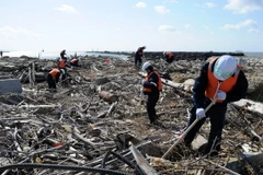 Nhật xem xét nới lỏng quy định tu nghiệp sinh nước ngoài