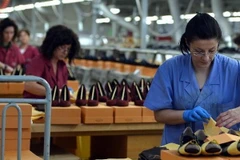 Khủng hoảng kinh tế khiến dân Italy đổ xô ra nước ngoài tìm việc