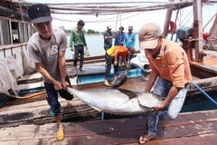 Khánh Hòa đóng đội “tàu mẹ, tàu con” bằng vật liệu mới