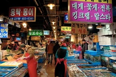 Chỉ số lòng tin người tiêu dùng Hàn Quốc thấp nhất 14 tháng qua