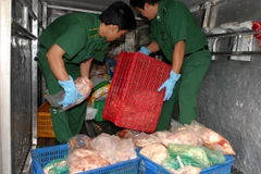 Quảng Bình phát hiện 10 tấn gà đông lạnh không rõ nguồn gốc