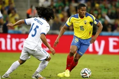 Trận Ecuador-Honduras tôn vinh các huấn luyện viên Colombia