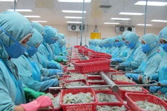 Cần Thơ xuất siêu 616 triệu USD, cao nhất từ trước đến nay