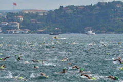 Gần 2.000 vận động viên dự giải bơi xuyên lục địa ở eo biển Bosphorus