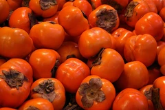 Lâm Đồng: Các loại trái hồng Đà Lạt tiếp tục rớt giá dù được mùa