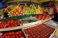 Các nước bị cấm xuất khẩu sang Nga phải tìm kiếm thị trường mới