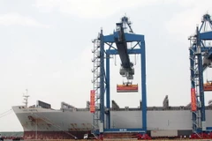 Tìm giải pháp nâng cao thị phần vận tải biển cho Vinalines