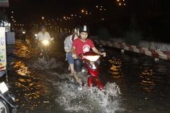 Thành phố Hồ Chí Minh đầu tư hơn 490 tỷ đồng phòng chống triều cường