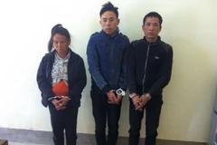 Bắt 3 đối tượng mang gần 800 viên ma túy từ Lào vào Việt Nam