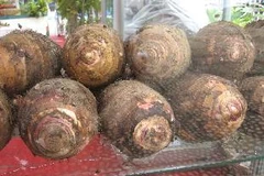 (Nguồn: nongnghiep.vn)